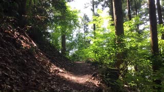 自転車で行く「高尾山へ向かう見晴台」