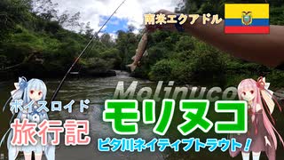 【ボイロ実況】ボイスロイド旅行記Vol.74 モリヌコ ピタ川ネイティブトラウト編