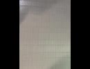75991327765__8C5A5FCA-7E41-4F64-AC52-636AF37ED355