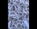 75991470192__DFA1FDF5-3132-49A5-B6F5-D69407653D19