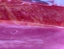 75991572970__3DE7E163-887A-4BDC-BC6C-653723593474