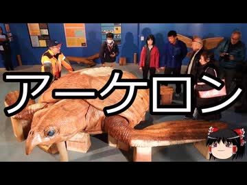 【ゆっくり朗読】ゆっくりさんと絶滅した生物　その08