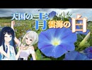天国の青と雲海の白【双葉湊音誕生祭2025】