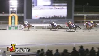 第26回梅見月杯 アウストロ