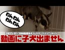 【 #おつモモンガ 】【 #睡眠用 #勉強用 #作業用BGM 】フクモモは発情期になると子犬のように鳴く！【フクロモモンガ朝散歩2025/01/30 #ハイライト 】