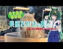 【ソフトウェアトーク旅行】リア散歩番外編・長風呂対決の裏で……【カピバラ温泉】