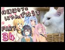 【弦巻マキ&宮舞モカ】保護猫カフェに遊びに行くよ 【Part 34】