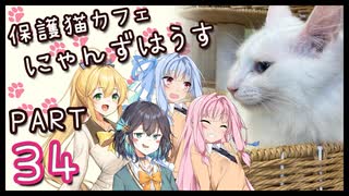 【弦巻マキ&宮舞モカ】保護猫カフェに遊びに行くよ 【Part 34】