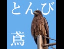 とんび - 可不 cho.はなつばめ 【オリジナル曲】