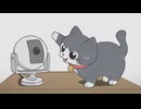 ねこに転生したおじさん　第16話　うっかり