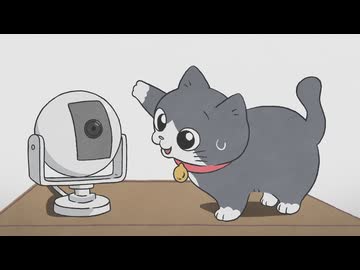 ねこに転生したおじさん　第16話　うっかり