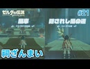 【ゼルダの伝説BotW】初めてのブレワイ！折れない心で未知の世界へ！#21【実況】