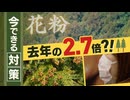 花粉の飛散量去年の２７０％？！　「毛の長い服は避けて」基本的な対策を専門家に聞いた