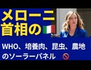 メローニ首相のイタリア□□ WHO脱退、昆虫、培養肉、農地のソーラーパネル