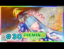 ピクミンだって名前が欲しいっ！ #30【PIKMIN4】