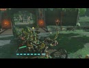【ティアキン】依頼を受けて、ボコブリンを放心させるバグで遊んでみた【ドリカラ】【ボイスピ実況,ゼルダの伝説,ティアーズオブザキングダム,TotK,バグ,検証 】