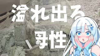 雪さんとついなちゃんとおっぱい地蔵