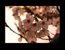 風前の勇気 feat.梵そよぎ