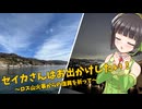 【第2回ナイスビュー投稿祭】セイカさんはお出かけしたい！～ロサンゼルス編～