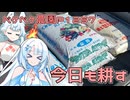 2025年1月31日　農作業日誌P1257　昨日の続きの肥料を撒いて耕すお仕事の続き