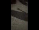 ヌオーのパーカーを買ってテンションが上がったので数年ぶりに反復横跳びやってみた動画 #fyp #反復横跳び #初投稿