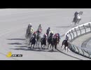 2025/01/13 中京4R 3歳新馬 ヨリノレジェンド