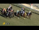 2025/01/25 中京12R 4歳以上1勝クラス シルキーガール