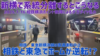 《相鉄&東急》新横浜で系統分離するとこうなる 2025.1.16夕方の相鉄ダイヤ乱れ