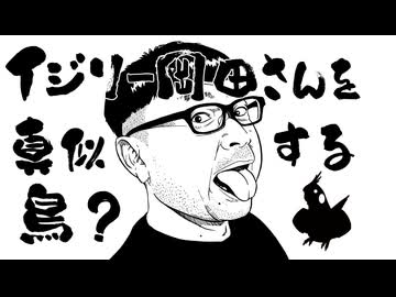 イジリー岡田さんインコ