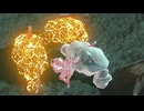 【ブレワイ】依頼を受けて、カチロックとマクロックを会わせてみた【ドリカラ】【ボイスピ実況,ゼルダの伝説,ブレスオブザワイルド,BotW,バグ,検証 】