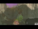 【ティアキン】依頼を受けて、ミロヤンを拷問しようとしたら変なことが起きた【ドリカラ】【ボイスピ実況,ゼルダの伝説,ティアーズオブザキングダム,TotK,バグ,検証 】