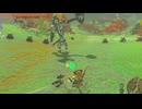 【ティアキン】依頼を受けて、気付いた細かい仕様変更をまとめてみた【ドリカラ】【ボイスピ実況,ゼルダの伝説,ティアーズオブザキングダム,TotK,バグ,検証 】
