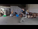 形意拳 五行拳 火行砲拳