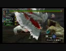 【MHP2G】 「白光」 1/2 ■片手剣 ◆ハイガノボマー、それは挑戦