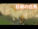 ゼルダの伝説　ティアーズ オブ ザ キングダム　実況プレイPart270