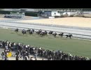 グローリーリンク 3歳未勝利 　カウントダウンＴＣつき