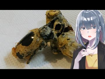 「カブトムシ」