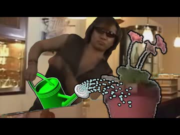 おじさんの代わりにSMバー平野に顔を出しに来た植木鉢くん