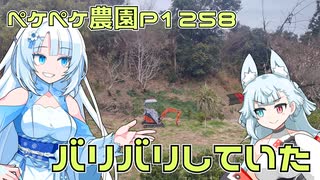 2025年2月1日　農作業日誌P1258　みかん屋さんのみかん畑で粉砕作業に従事
