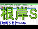 【競馬予想】2025「根岸S(GⅢ)」