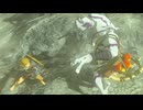 【ティアキン】依頼を受けて、素手でパリィをしてみた【ドリカラ】【ボイスピ実況,ゼルダの伝説,ティアーズオブザキングダム,TotK,バグ,検証 】