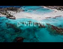 Coral Reefs in the Mediterranean Sea on Island of Crete, Greece