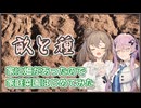 家に畑があったので家庭菜園はじめてみた　畝と種