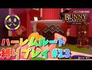 【実況なし】 バニーガーデン ハーレムルート 縛りプレイ #13