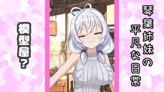 琴葉姉妹の平凡な日常 214『ここは何屋さん？④』【VOICEROID劇場】
