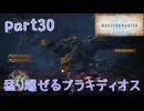 【独り言実況】ゲーム内方向音痴が喘ぐ？モンハンアイスボーン【Part30】