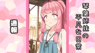琴葉姉妹の平凡な日常 218『ここは何屋さん？⑧』【VOICEROID劇場】