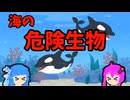 【VOICEROID解説】ゆかり先輩と見る危険生物【海編⑮】