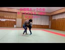 キックボクシング小学生のマススパー（ゆるめ）
