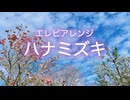 エレピアレンジ『ハナミズキ』
